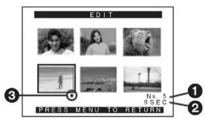 PANASONIC PVDC252 - To Copy All the Pictures - 2