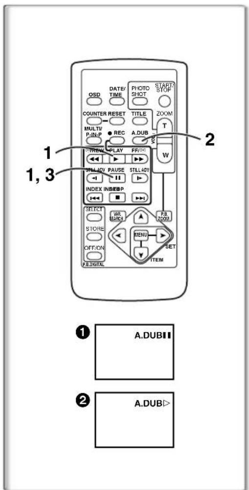 PANASONIC PVDC252 - Lecture sur téléviseur - 1