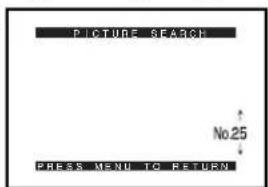 PANASONIC PVDC252 - StartPlayback. - 3