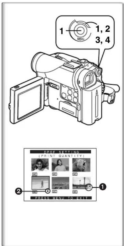 PANASONIC PVDC252 - To Delete all Files - 2