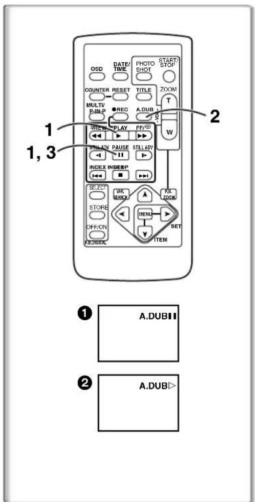 PANASONIC PVDC252 - Playing Back on Your TV - 1