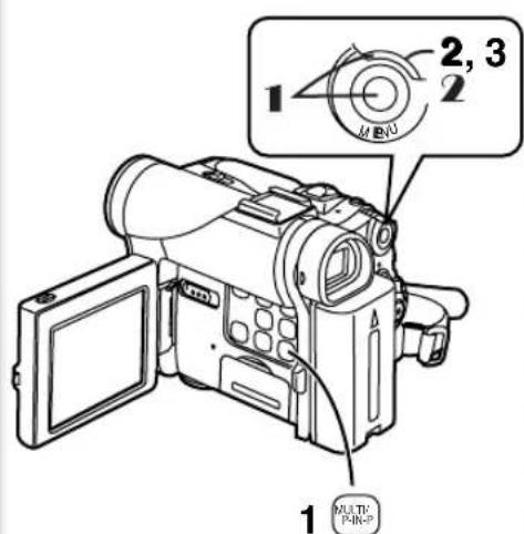 PANASONIC PVDC252 - StartPlayback. - 1