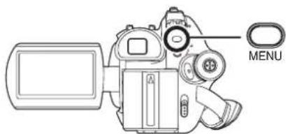 PANASONIC VDRD310GC - n - 6