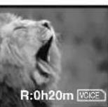PANASONIC PVDV952 - Pour arrêter le transfert d'images - 10