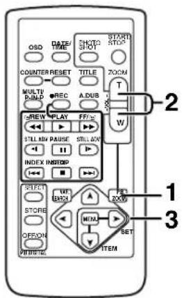 PANASONIC PVDV952 - Balayage de débuts - 1