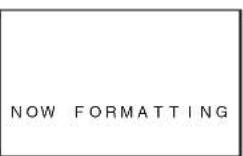 PANASONIC PVDV952 - To Delete all Files - 2