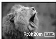 PANASONIC PVDV952 - To Stop the Transfer of Images - 3