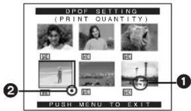PANASONIC PVDV952 - Réglage DPOF - 3