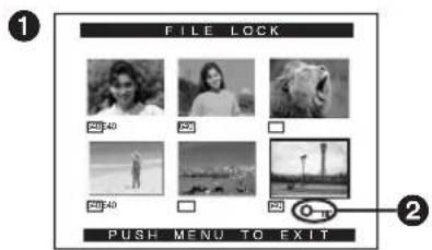 PANASONIC PVDV952 - Clearing a Title Display - 2