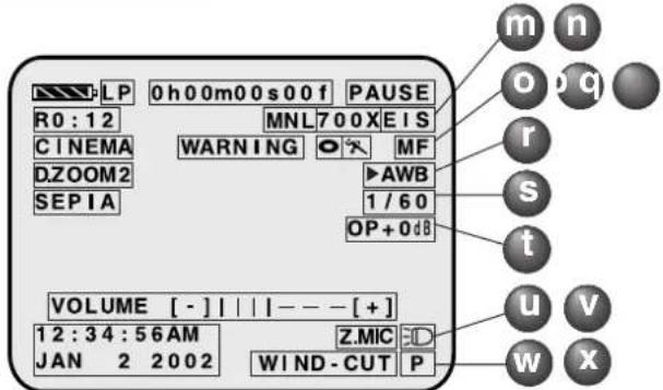 PANASONIC PVDV102 - Indications dans le viseur électronique/ Ecran à cristaux liquides - 1