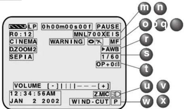 PANASONIC PVDV102 - Electronic Viewfinder/LCD Monitor Indications - 1