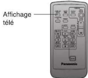 PANASONIC PVDV102 - (Avec telécommande seulement) - 1