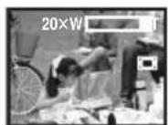 PANASONIC NVGS70 - Digitale Zoomfunktion - 1