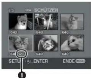 PANASONIC NVGS70 - Schützen von Dateien auf einer Speicherkarte - 1