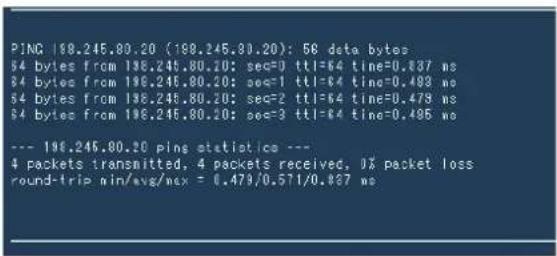 PANASONIC PTEZ570 - Ping test page - 2