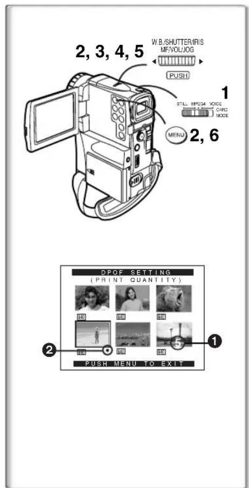 PANASONIC PVVM202 - To Delete all Files - 2