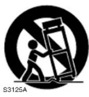 PANASONIC PVVM202 - Directives importantes - 1