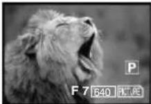 PANASONIC PVVM202 - Recording from the Palmcorder Lens (Camera Mode) - 1