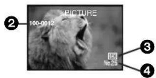 PANASONIC PVVM202 - Recording VoiceVoice Recording Function) - 4