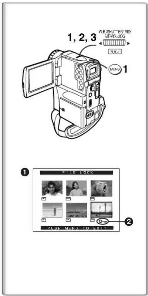 PANASONIC PVVM202 - Clearing a Title Display - 1