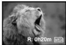 PANASONIC PVVM202 - To reduce the "red eye" phenomenon in your pictures (Red Eye Reduction) - 2