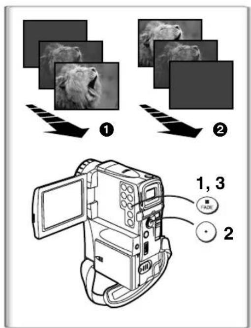 PANASONIC PVVM202 - Taking Close-up Shots of Small Subjects (Macro Close-up Function) - 3