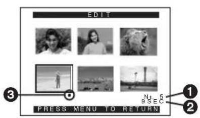 PANASONIC PVDC352 - To Copy All the Pictures - 2