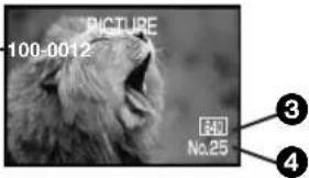 PANASONIC PVDC352 - Enregistrement d'images animées (MPEG4) - 3