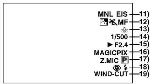 PANASONIC PVDC352 - 10) Date/Time Indication ( 20,60) - 1