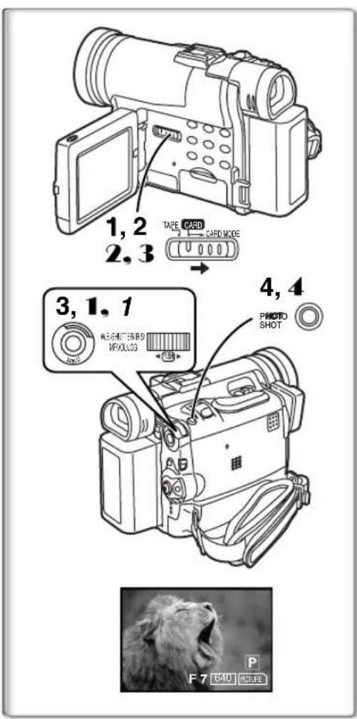 PANASONIC PVDC352 - Enregistrement d'une image à travers l'objet du caméoscope (modeamera) - 1