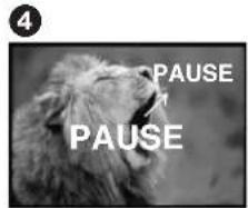 PANASONIC PVDC352 - Mode enregistrement audio - 4