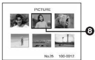 PANASONIC PVDC352 - Niveau de la luminosité et de la couleur - 6