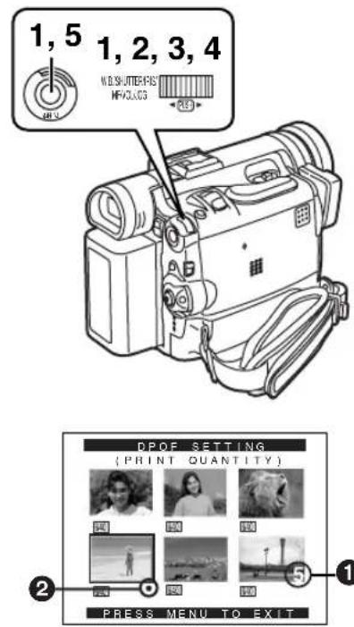 PANASONIC PVDC352 - Réglage DPOF - 1