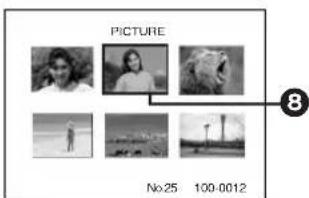 PANASONIC PVDC352 - Adjusting Brightness and Color Level - 6