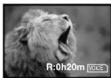 PANASONIC PVDC352 - To Stop the Transfer of Images - 3