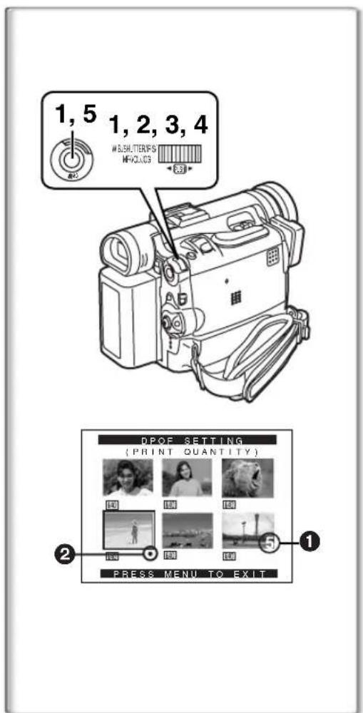 PANASONIC PVDC352 - Formatting a Memory Card - 1