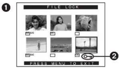 PANASONIC PVDC352 - Clearing a Title Display - 2