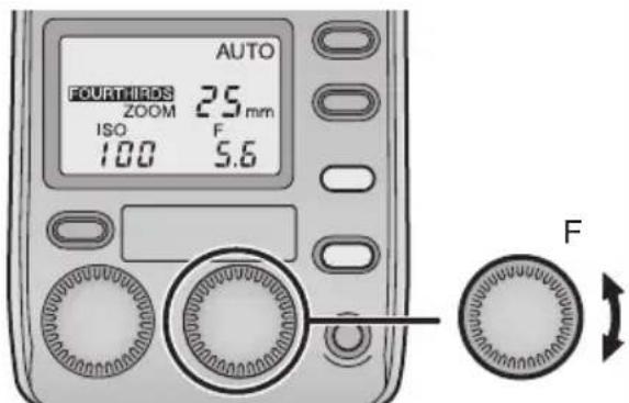 PANASONIC Lumix DMWFL500 - [AUTO] - 3