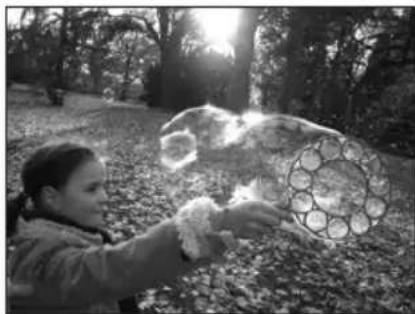 PANASONIC Lumix DMWFL500 - Usando las velocidades de obturación altas pueden tomarse las siguientes clases de fotos. - 1