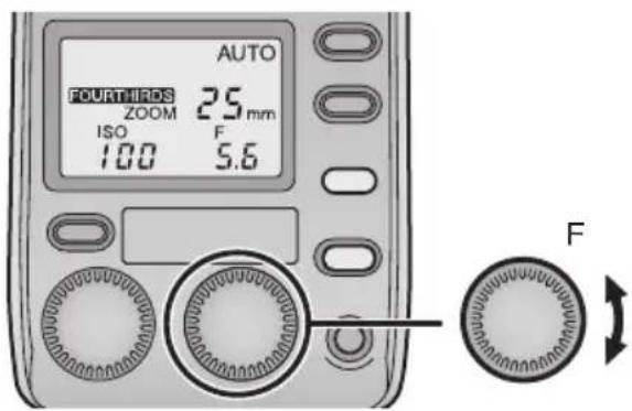 PANASONIC Lumix DMWFL500 - [AUTO] - 3