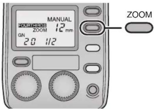 PANASONIC Lumix DMWFL500 - Push the [ZOOM] button to set the zoom value to the focal length of the lens. - 1