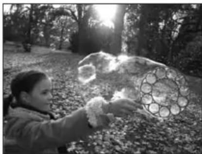 PANASONIC Lumix DMWFL500 - The following kinds of photos can be taken using high shutter speeds. - 1