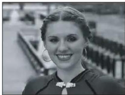 PANASONIC Lumix DMWFL500 - Les genres de photo suivants peuvent être pris en utilisant de grandes vitesses d'obturation. - 2