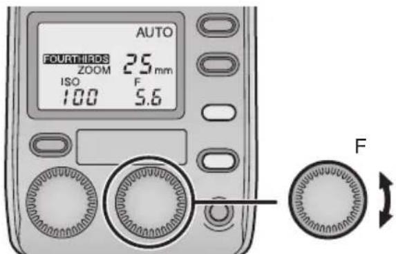 PANASONIC Lumix DMWFL500 - [AUTO] - 3
