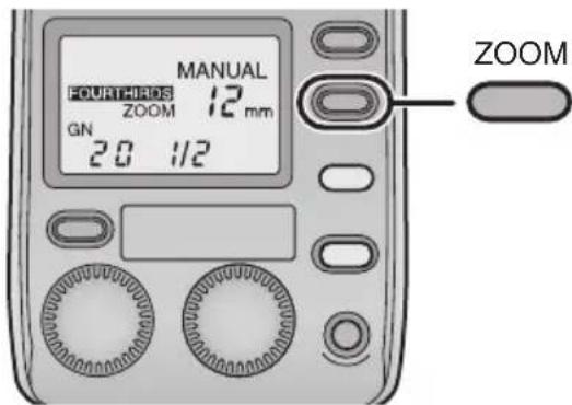 PANASONIC Lumix DMWFL500 - [MANUAL] - 2