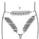 PANASONIC ERGY50 - Okolice bikini - 1