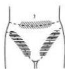 PANASONIC ERGY50 - För bikinilinjen - 1