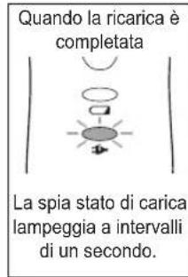 PANASONIC ERDGP82 - Carica - 4