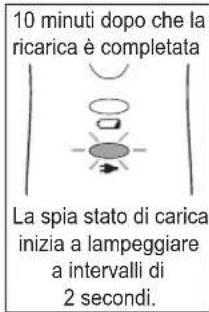 PANASONIC ERDGP82 - Carica - 5