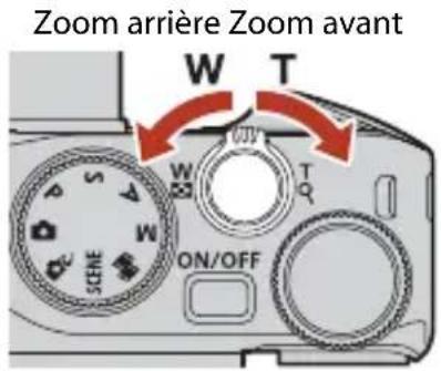 NIKON Coolpix A1000 - Cadrez la photo. - 1